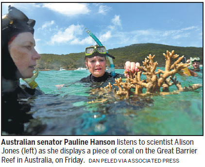 Coral transplant raises survival hopes